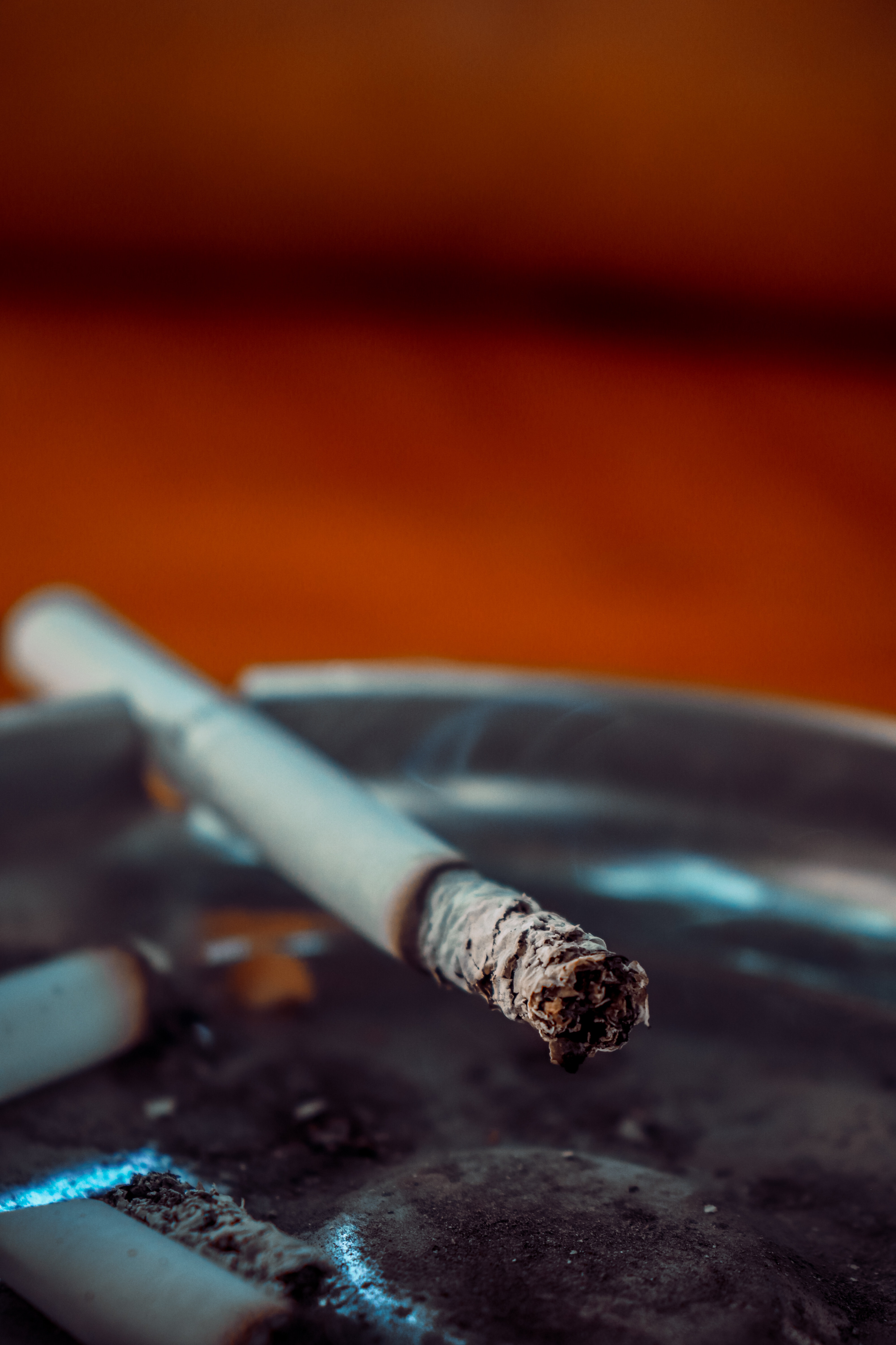 Cigarja në tavëll